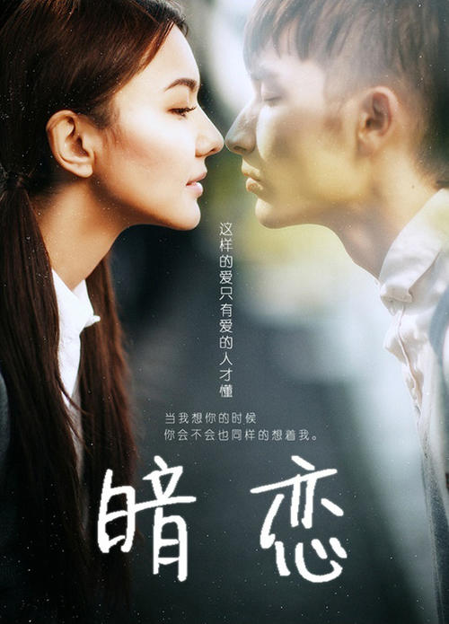 房产证号查询系统